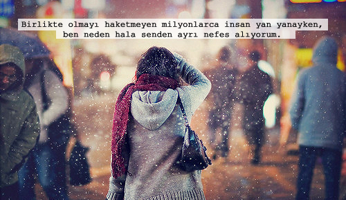 tumblr_n0615b2kkw1tneihio1_500.png
