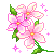 864040j2gxuhqkxp.gif