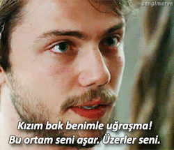 tumblr_nqknegZnAl1rv22ito1_250.gif
