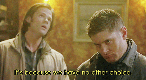 tumblr_n75zjaWqie1ty44tvo6_500.gif