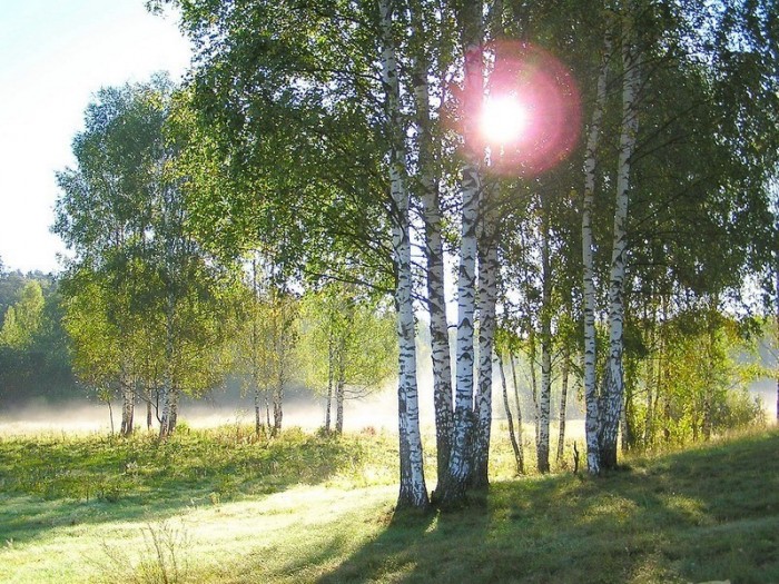 574505_8.jpg