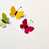 butterflies.png