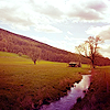 stock996_by_kisuncha.png