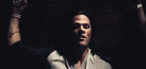 Sam-jared-padalecki-34213831-500-236.gif