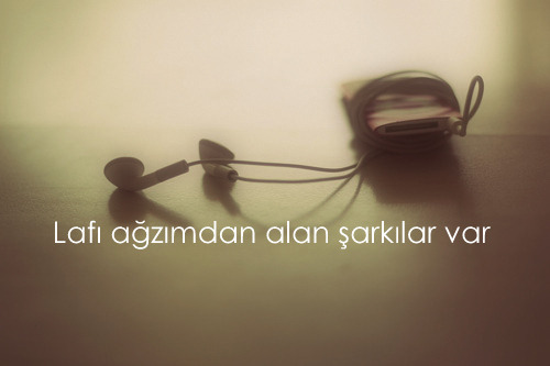 tumblr_mugormjpUu1s7rq0po1_500.jpg