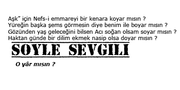 soyle.png