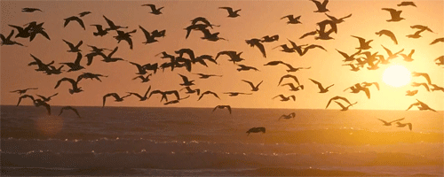 tumblr_ljdm1kzJaW1qh9f6ro1_500.gif
