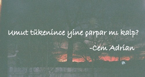 tumblr_ndrd1dCn0k1t8vhwoo1_500.jpg