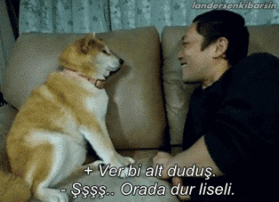 tumblr_mlrn0qzFAo1rhlrc6o1_400.gif