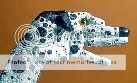 3672008856496952rw0.jpg