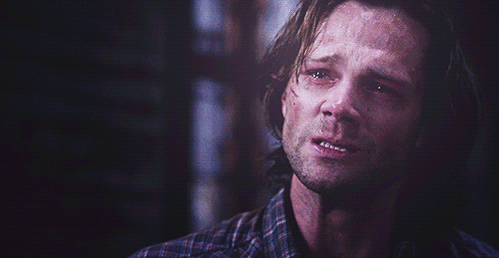 tumblr_mmzt920Y651qafea7o3_500.gif