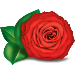 64784987_rose.png