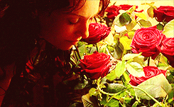 tumblr_lu7z59XL0K1qadi39o4_250.gif