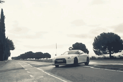 tumblr_mpgo4einIi1rsf0s4o1_500.gif