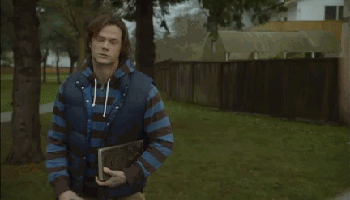 tumblr_m8gl3uZNcs1rziwwco1_400.gif