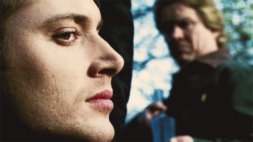 tumblr_mrjuw1W27b1s26mbyo1_500.gif