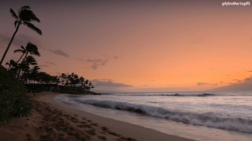 tumblr_mphtr22jGU1r8bvzso2_500.gif