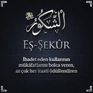 sekur-esmasi-300x300.jpg