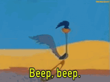 roadrunner-beep.gif