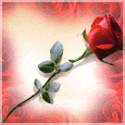 1036-027-14-1068.gif