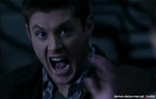tumblr_lzmn05D55i1r3zat8.gif