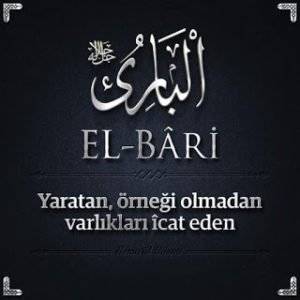 el_bari_8847-300x300.jpg