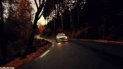 tumblr_mpetam6Pmv1qde30vo1_250.gif