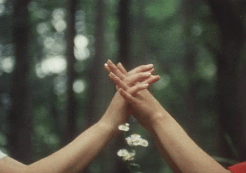 tumblr_mu4u4otScw1qg8v54o4_500.gif