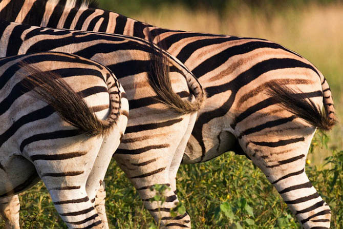 81238069_16.jpg