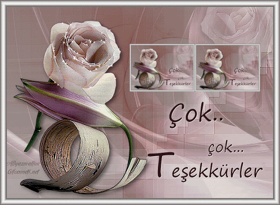 tesekkurler-1.gif