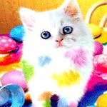 64538262_1285531670_b41885bdf6fe.gif