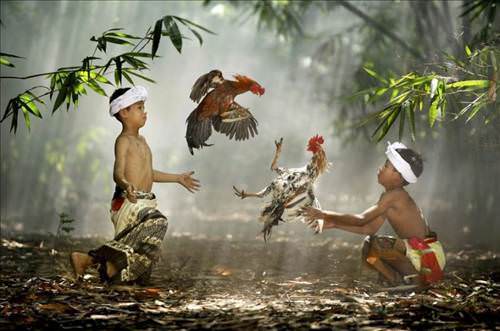 46_stajyerasli_d.jpg