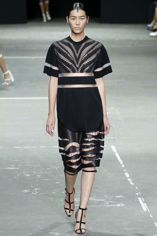 alexander-wang-yaz-2013-koleksiyonu-2616790.Jpeg