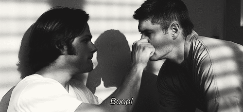 tumblr_msqo2rgvVa1rur2mio1_500.gif
