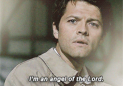 tumblr_mqwtqpjbfe1spvg8qo3_250.gif