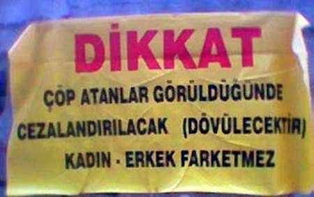 22_493940604_d.jpg