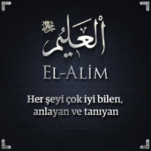 el-alim_01147-300x300.jpg