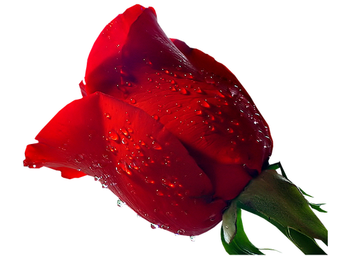 0_560fb_c4981f2f_L