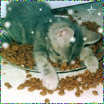 64537570_1285530853_glutton_.gif