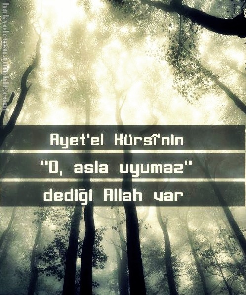 tumblr_mz1d2meqUc1rhk166o1_500.jpg