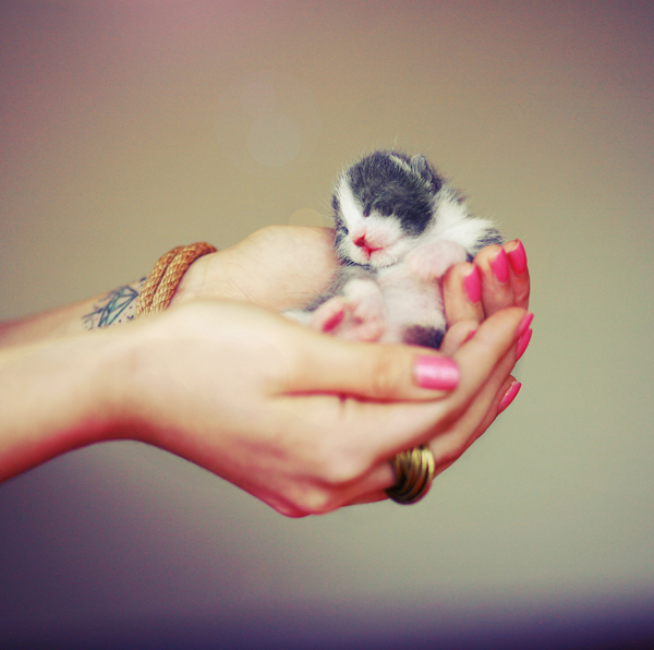 sleep__by_clyme-d3a7dm3.jpg