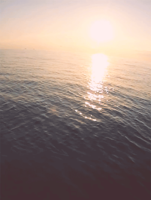 tumblr_mplokiDa2i1r07yalo1_500.gif