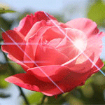 64538222_1285531355_c1df11863f9e.gif