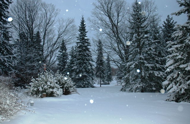 wintersolsticemorn.jpg