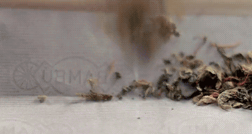 tumblr_m8uei2koaU1rcgnvzo1_500.gif