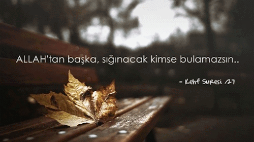 tumblr_mxeer6v4ev1rccgsso1_r4_500.gif