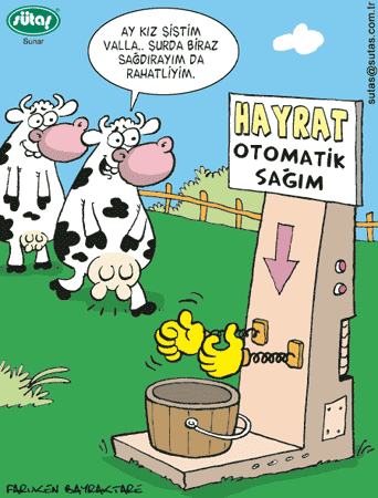 sutas-inekleri-hio.gif