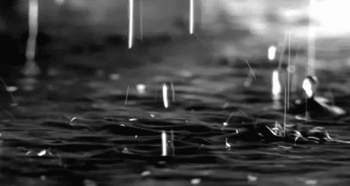 dest-12.gif