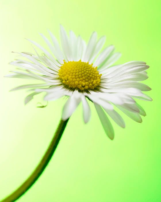 8164423bh1.jpg