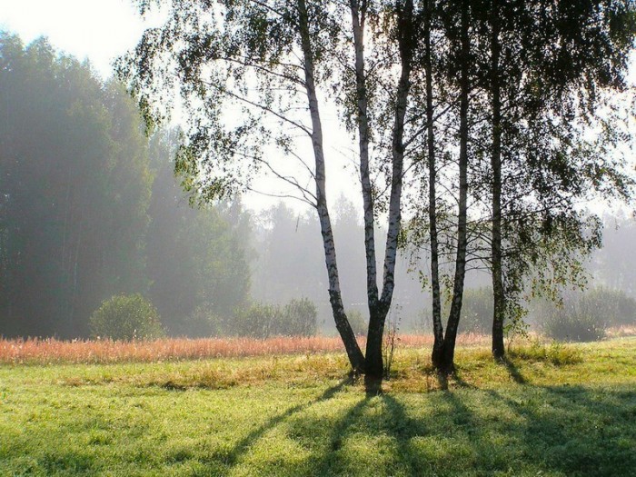 574508_11.jpg